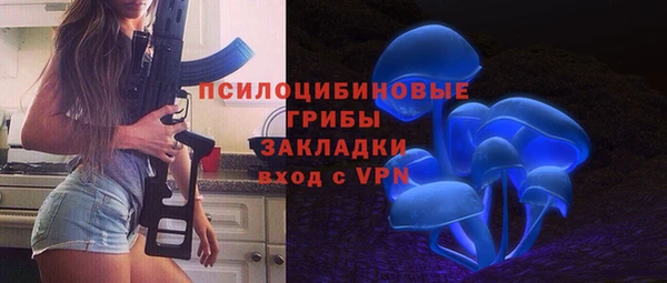 стафф Абинск
