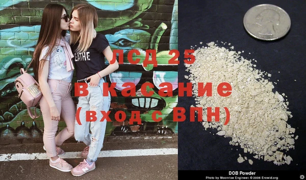 стафф Абинск
